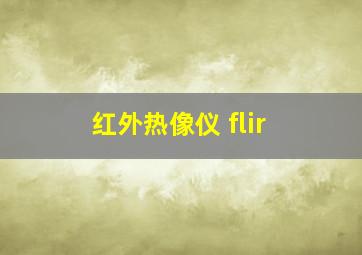 红外热像仪 flir